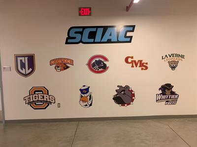 Wall Graphics Photo